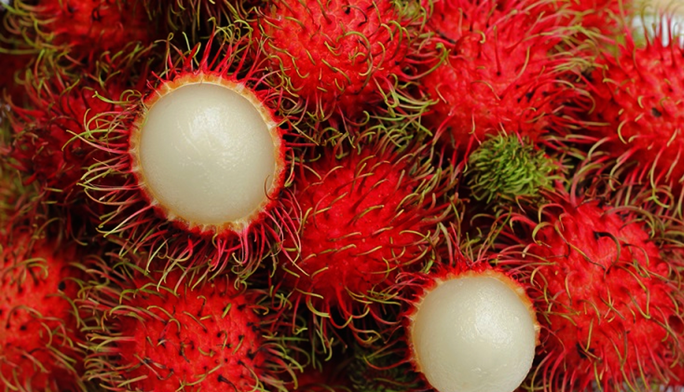 RAMBUTAN RAPIAH